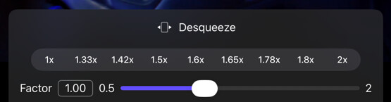 Desqueeze options with preset factors and a custom Factor slider