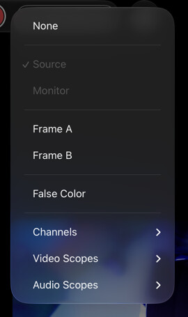 Panel menu with framing crops, channels, video scopes, and audio scopes