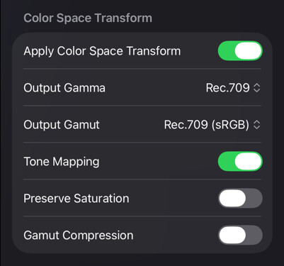 Color Space Transform settings with output gamma and gamut