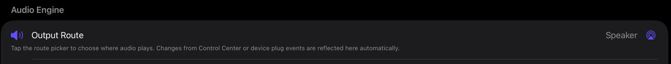 Output Route control in Audio settings on iPad