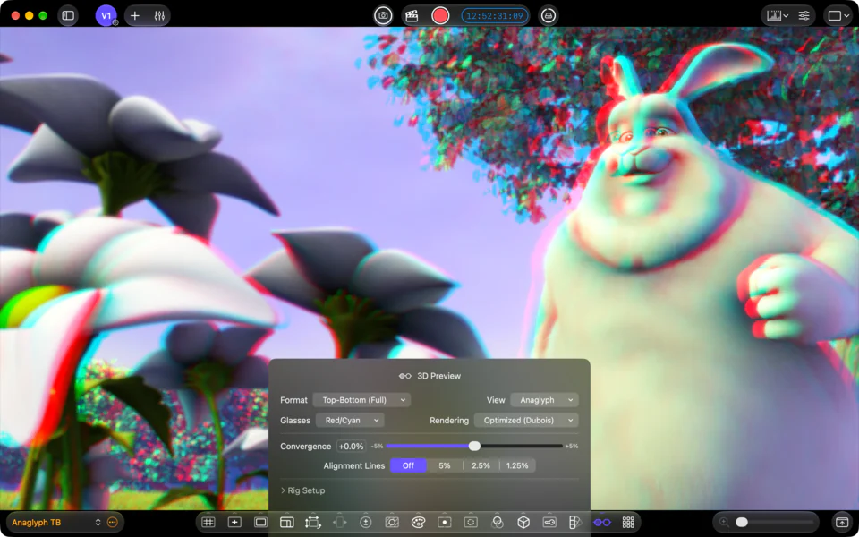Anaglyph preview: Preview stereoscopic depth using red/cyan anaglyph glasses.