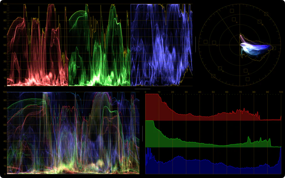Video scopes: Compare waveform, vectorscope, and histogram views in one layout.