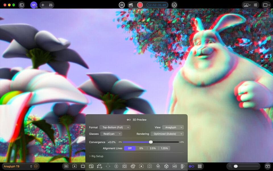 3D Preview displays stereo footage as a red/cyan anaglyph, with controls for convergence and alignment guides.